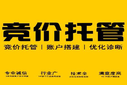 SEM广告投放策略优化：从失败到成功的转变